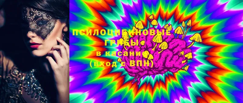 Галлюциногенные грибы Magic Shrooms  Закаменск 